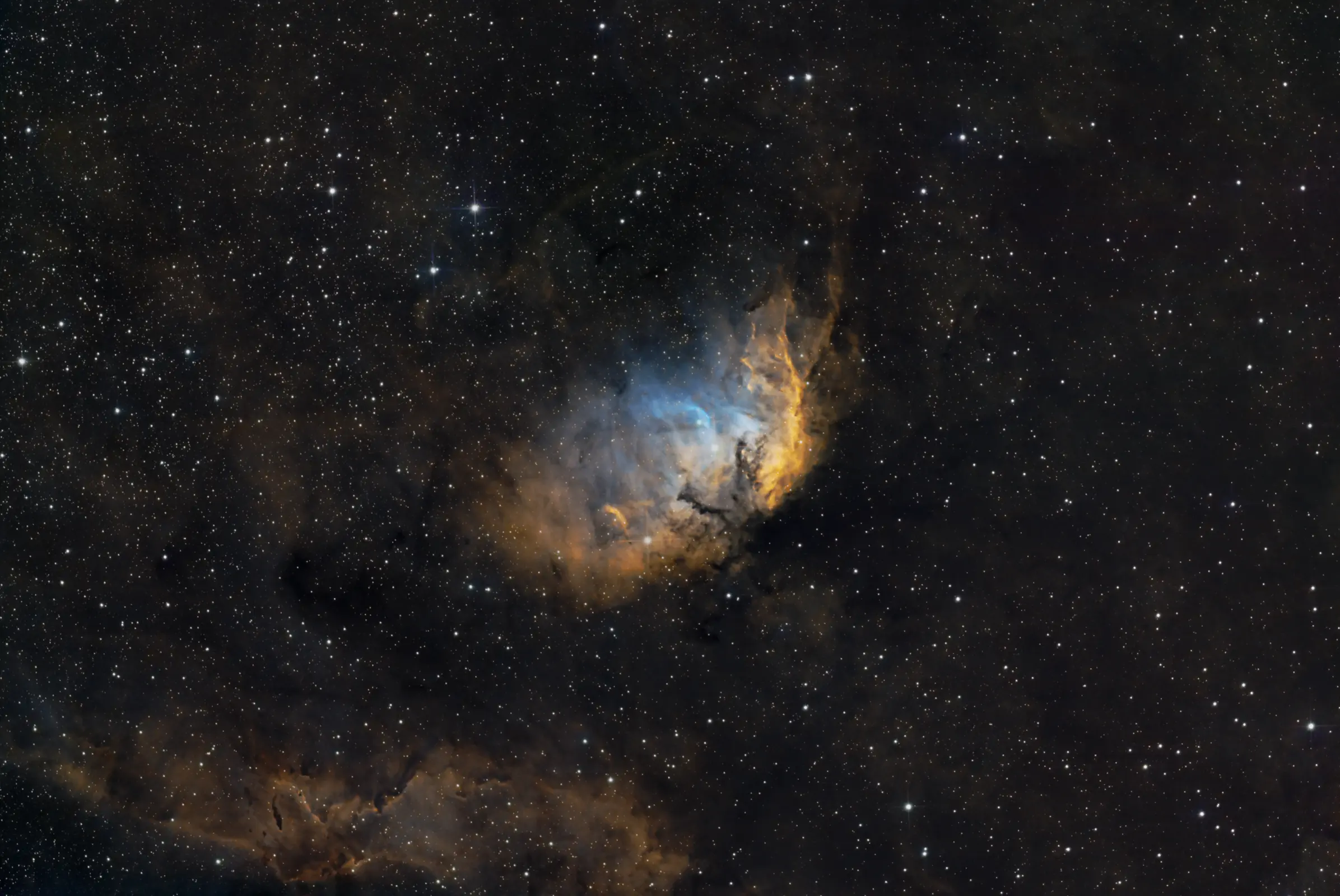 The Tulip Nebula